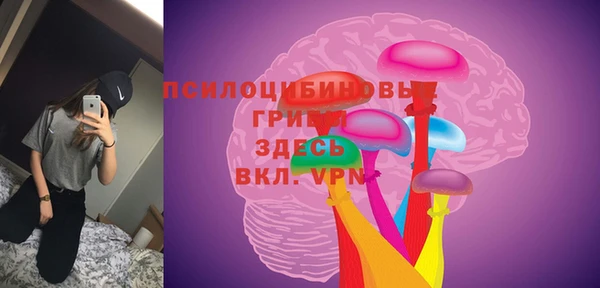 PSILOCYBIN Алексин