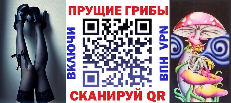 Псилоцибиновые грибы Psilocybe  Солигалич 