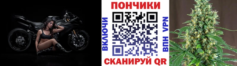 купить наркотик  ссылка на мегу ТОР  МАРИХУАНА VHQ  Солигалич 